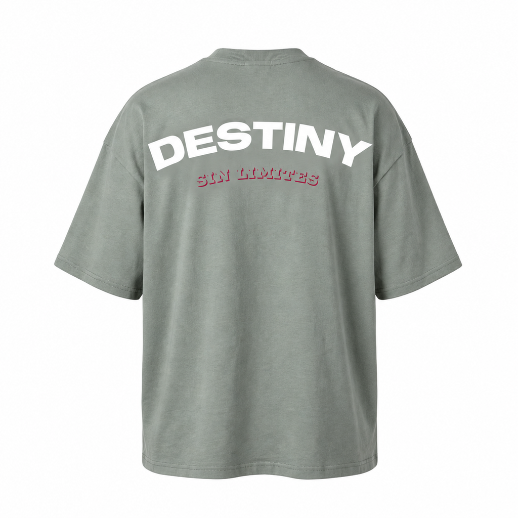 Camiseta Boxyfit DESTINY estampado blanco — espalda