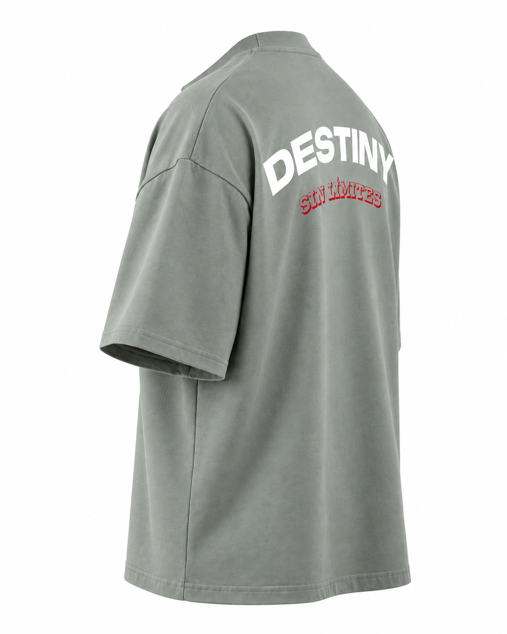 Camiseta Boxyfit DESTINY estampado blanco — lateral