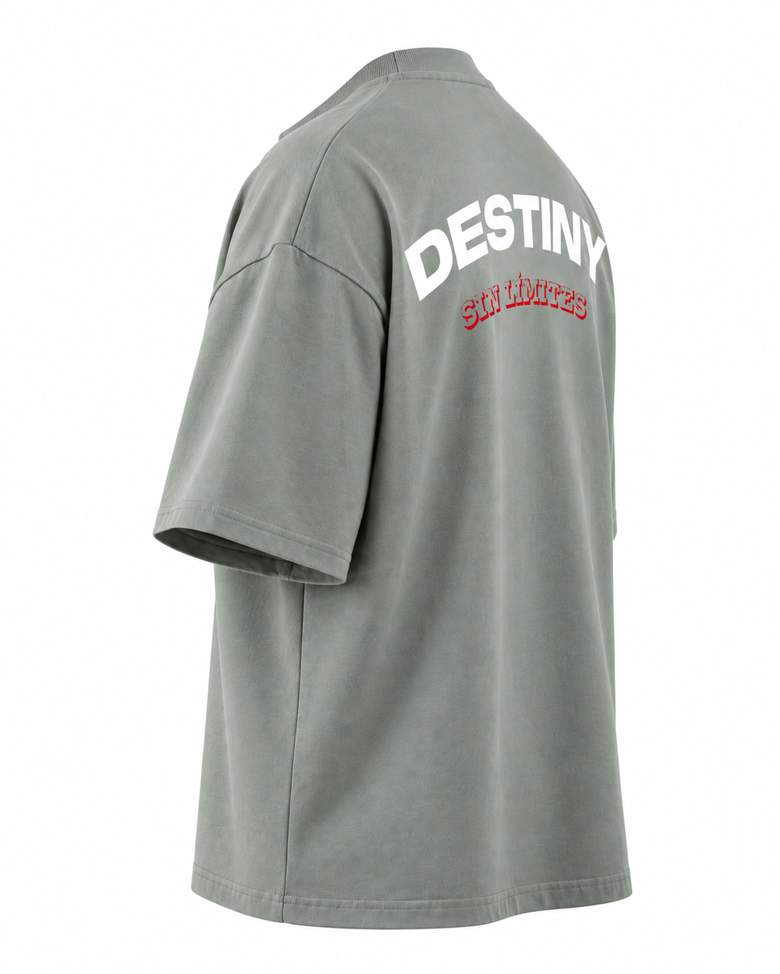 Camiseta Boxyfit DESTINY estampado blanco — lateral