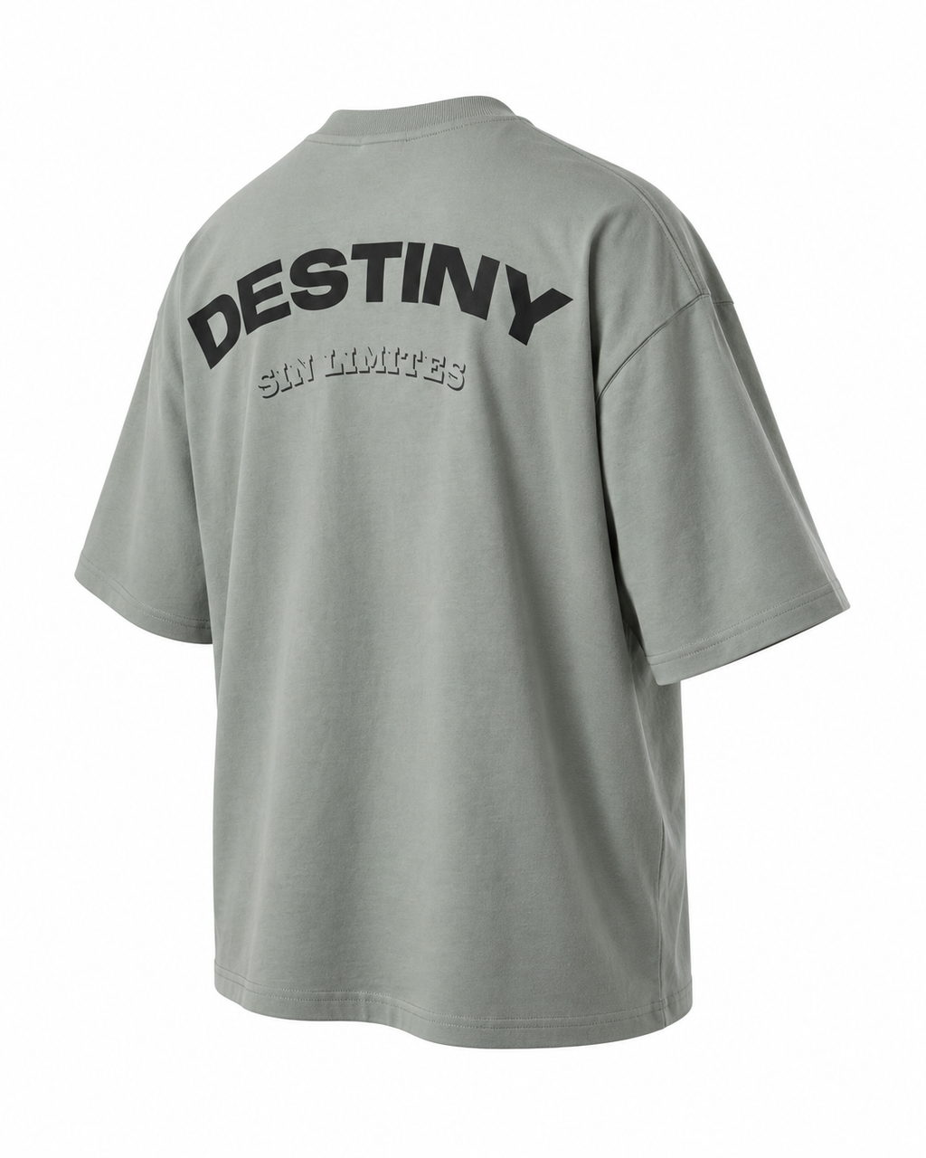 Camiseta Oversize Boxyfit DESTINY — Estampado Negro — producto/03-tres-cuartos.png